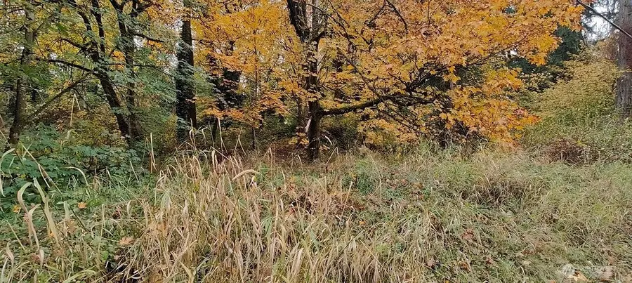 0 Military, Federal Way, WA 98003 - Image #2