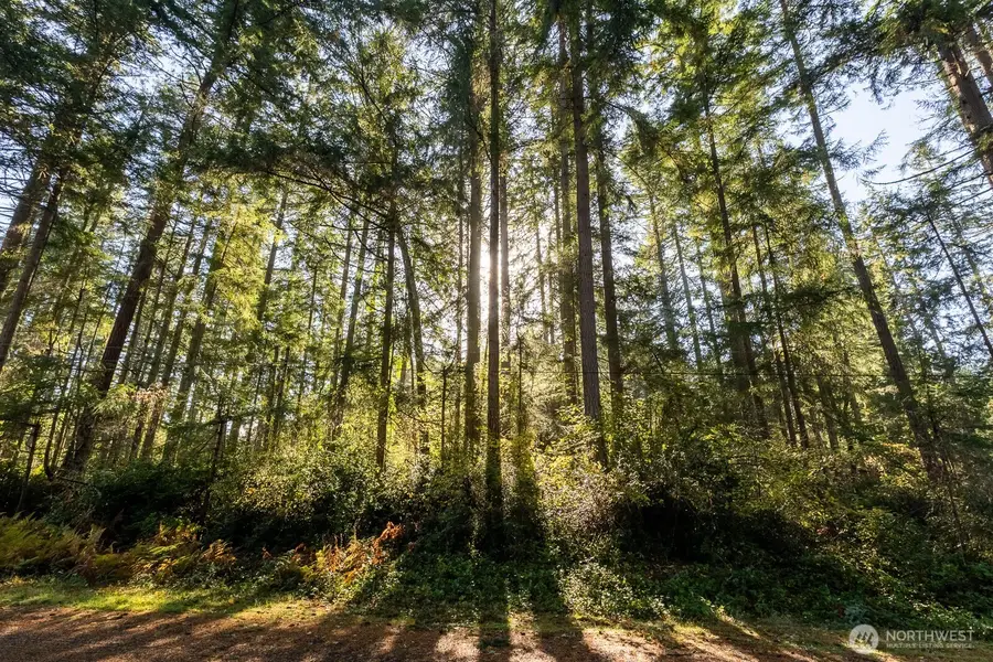 11324 Laurel Place, Anderson Island, WA 98303 - Image #2