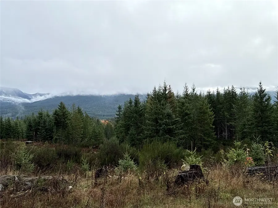 2 Forest Road 52, Packwood, WA 98361 - Image #3