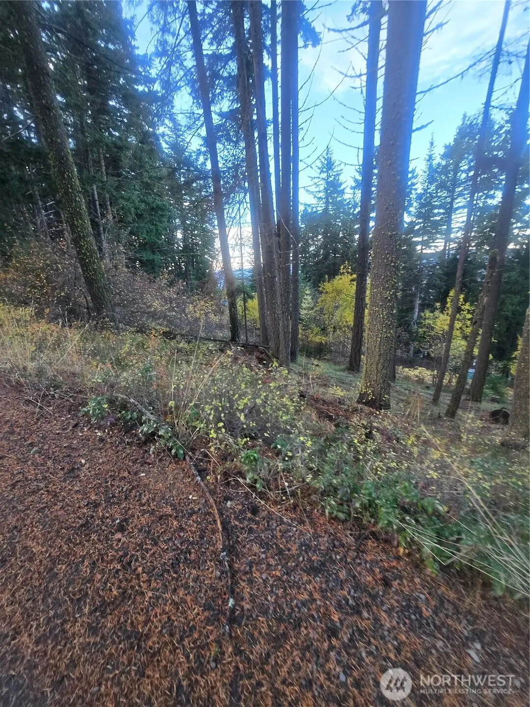 680 Horse Heaven Rd, Cle Elum, WA 98922 - Image #1