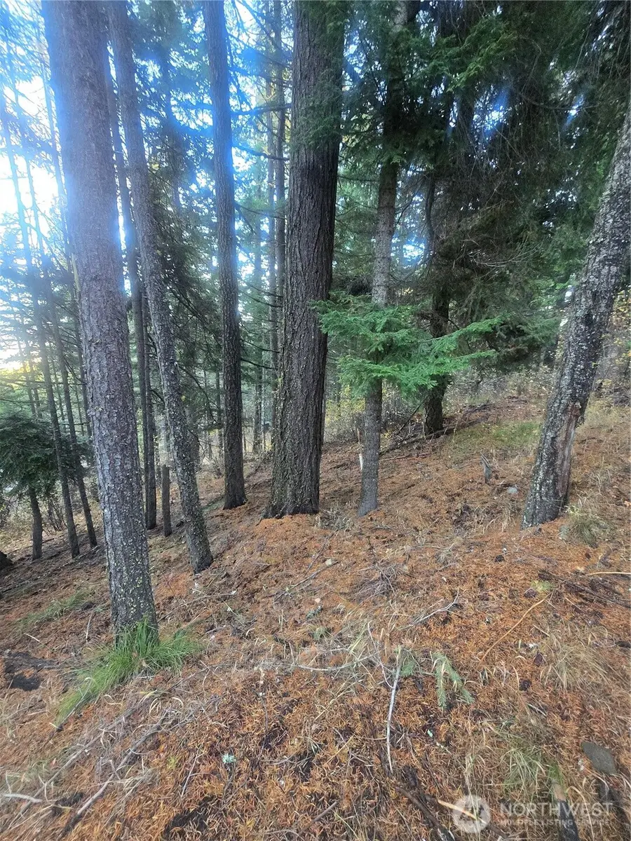 680 Horse Heaven Rd, Cle Elum, WA 98922 - Image #2