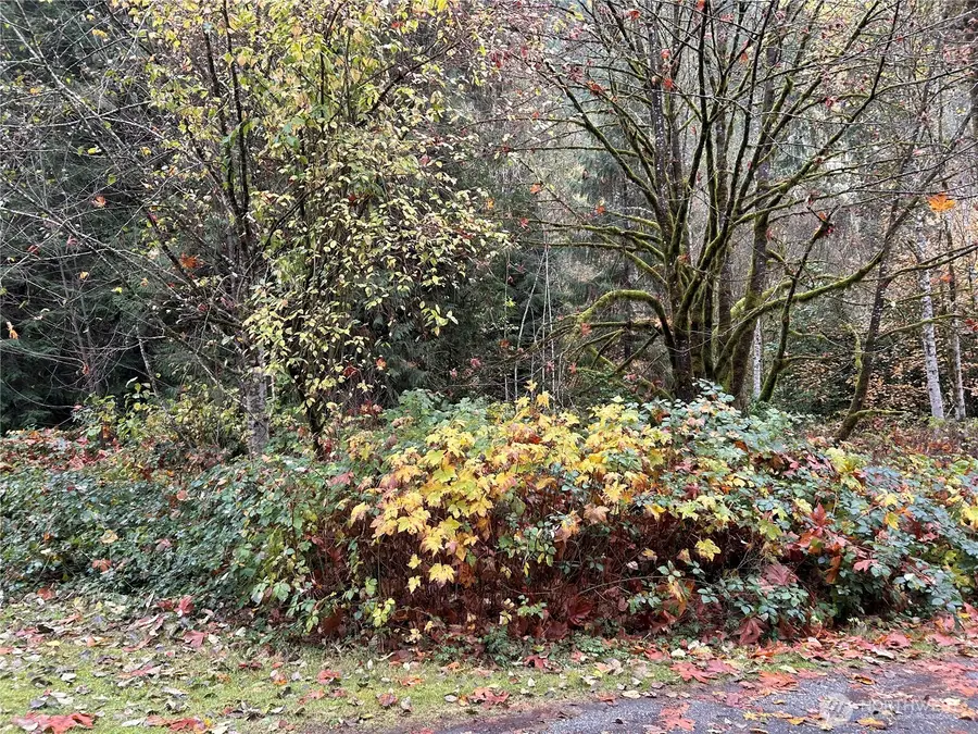 54165 Steelhead Landing Road, Concrete, WA 98237 - Image #3