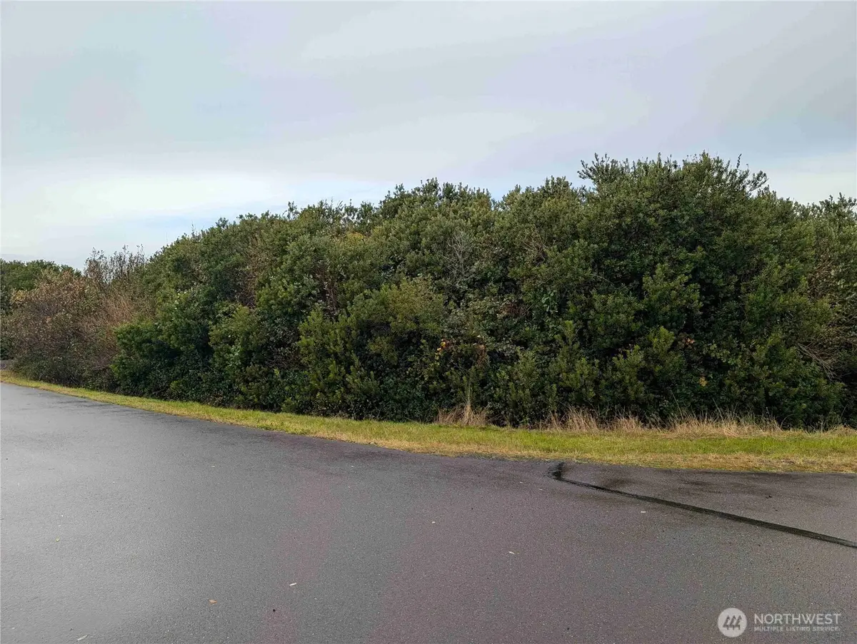446 Salina Cruz Avenue, Ocean Shores, WA 98569 - Image #1