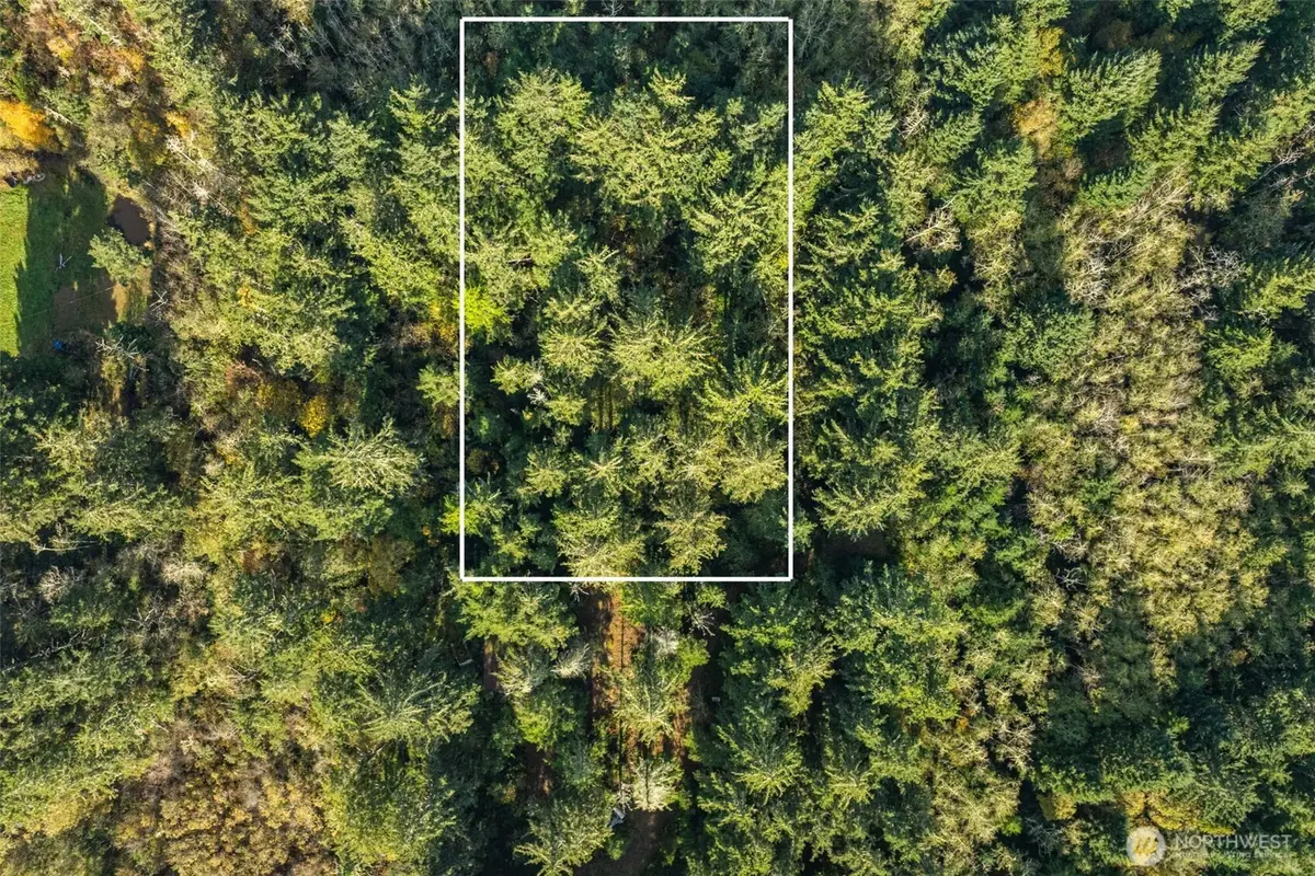 2 147th Place, Long Beach, WA 98631 - Image #1