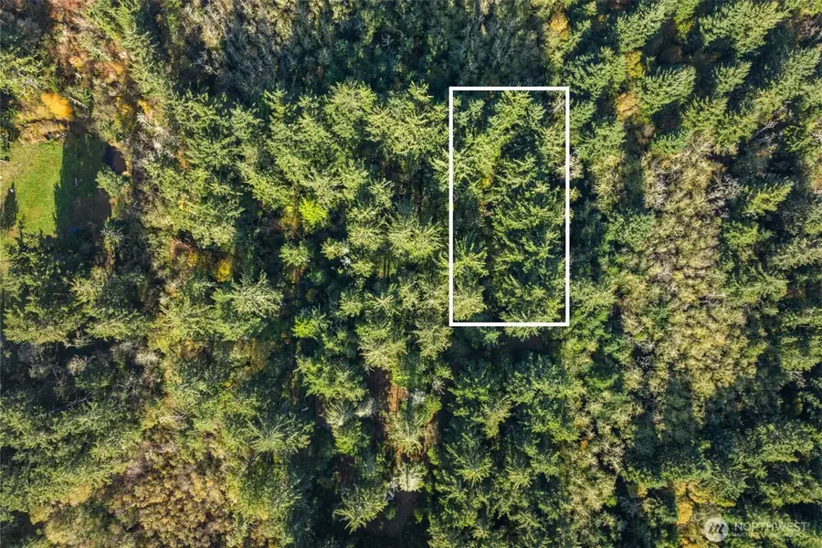 0 147th Street, Long Beach, WA 98631 - Image #3