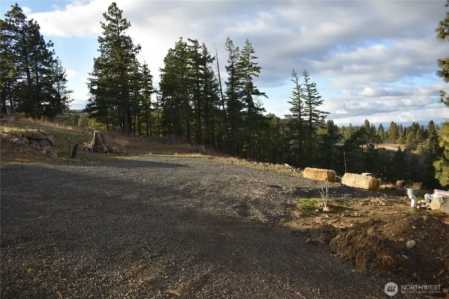 0 Morrison Canyon Lane #9, Cle Elum, WA 98922 - Image #2