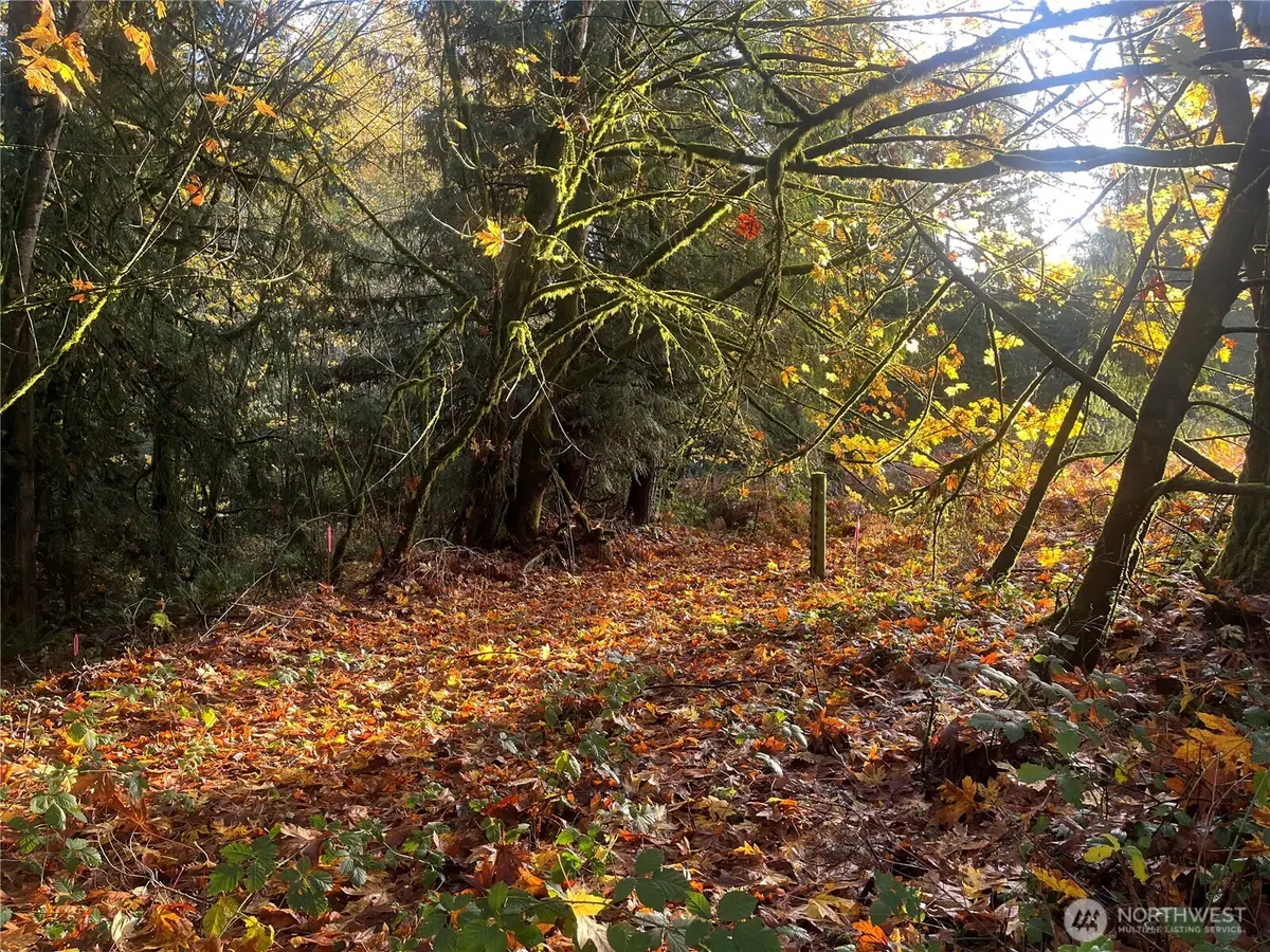 8621 SE Bethel Burley Road, Port Orchard, WA 98367 - Image #1