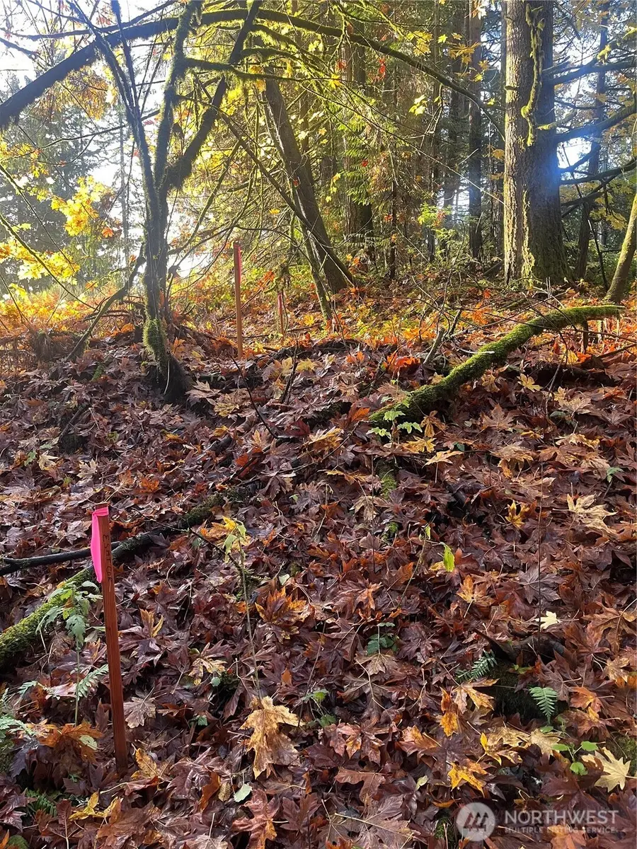 8621 SE Bethel Burley Road, Port Orchard, WA 98367 - Image #3