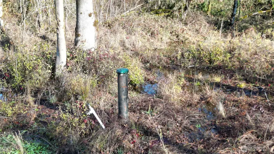 0 Jackson Hwy, Toledo, WA 98591 - Image #2