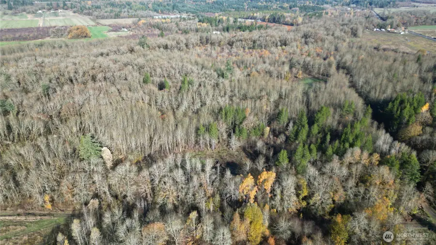 0 Jackson Hwy, Toledo, WA 98591 - Image #3