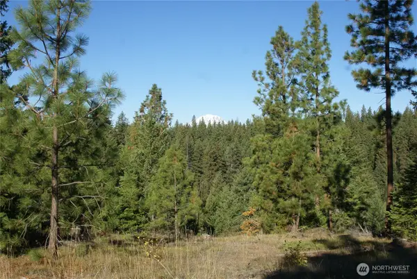 8 Ginger Way #8, Goldendale, WA 98620