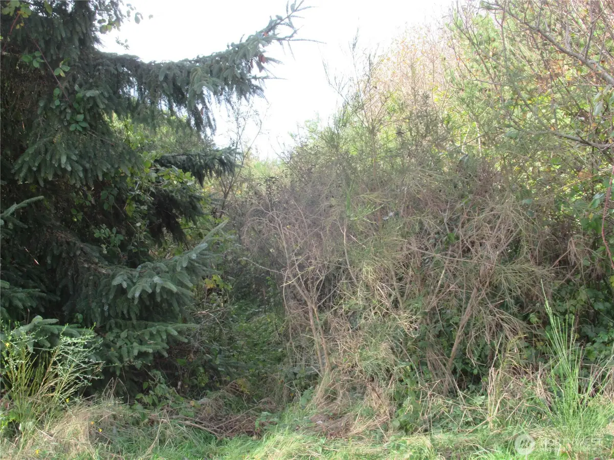 4 Driftwood Drive, Ocean City, WA 98569 - Image #1