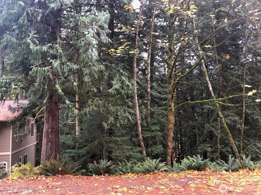 5 Shetland Court #80, Bellingham, WA 98229 - Image #2