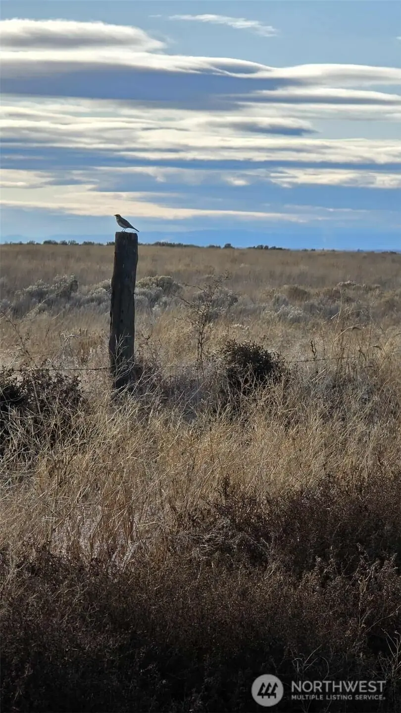 0 Nna Rd 16 Ne #256, Wilson Creek, WA 98860 - Image #2