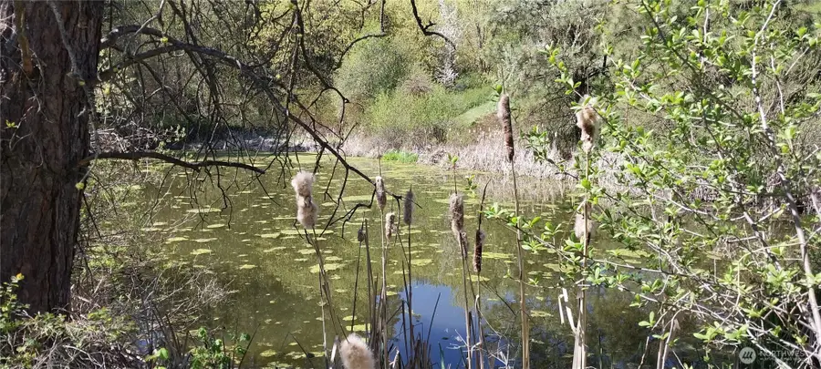 8010 Green Rd, Peshastin, WA 98847 - Image #3