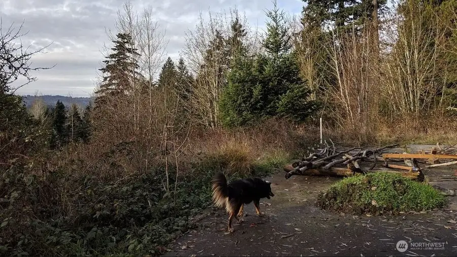 1431 N 14th Avenue, Kelso, WA 98626 - Image #2