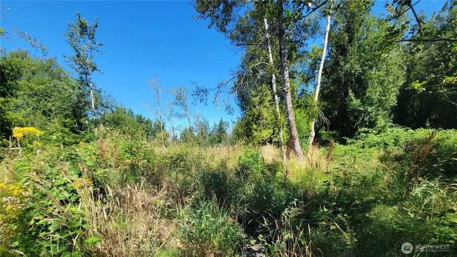 1431 N 14th Avenue, Kelso, WA 98626 - Image #3