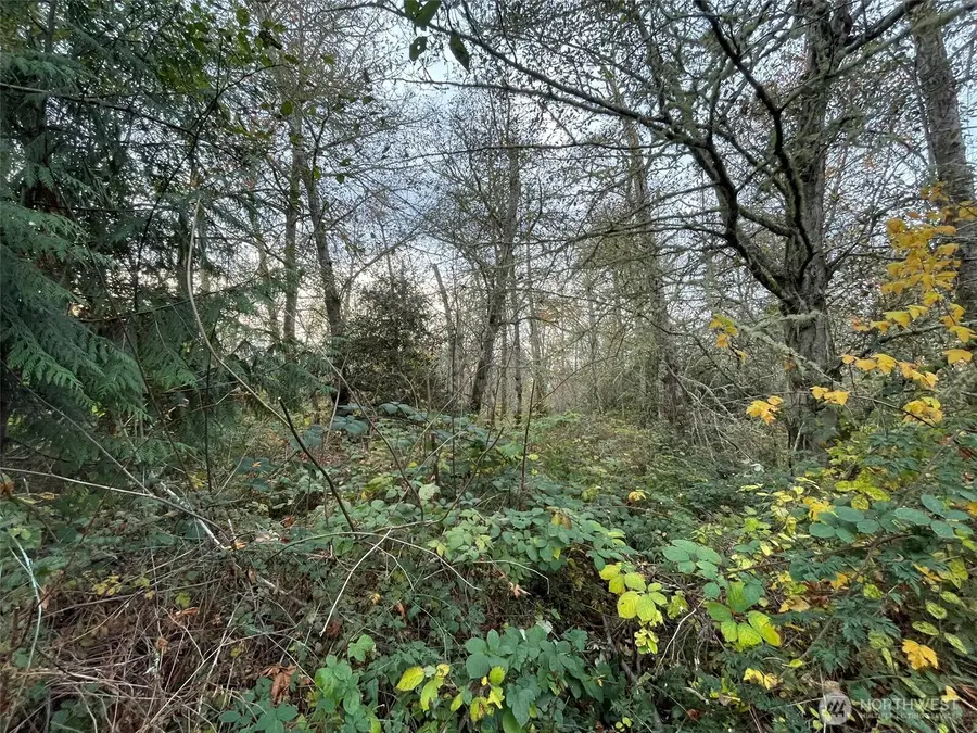 10312 SW 156th Street, Vashon, WA 98070 - Image #2