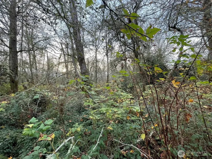 10312 SW 156th Street, Vashon, WA 98070 - Image #3