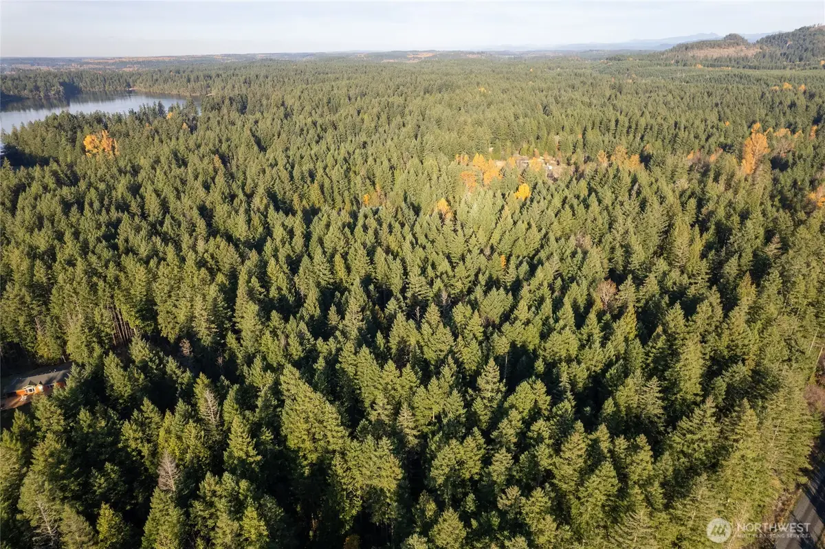 0 Bald Hills Road, Yelm, WA 98597 - Image #1