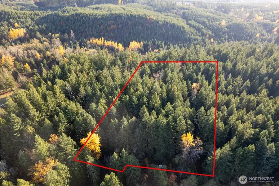 0 Bald Hills Road, Yelm, WA 98597 - Image #2