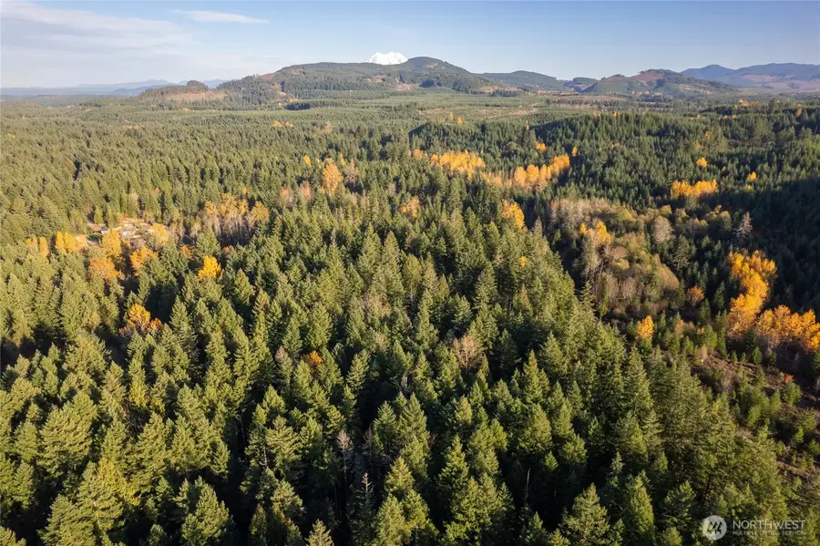 0 Bald Hills Road, Yelm, WA 98597 - Image #3