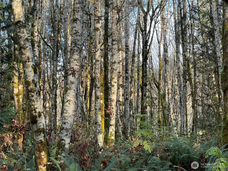 1 View Drive Ne, Poulsbo, WA 98370 - Image #2