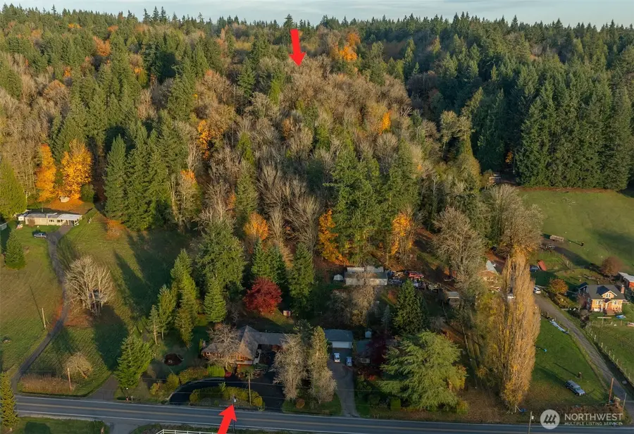 12241 Olalla Valley Road Se, Olalla, WA 98359 - Image #3