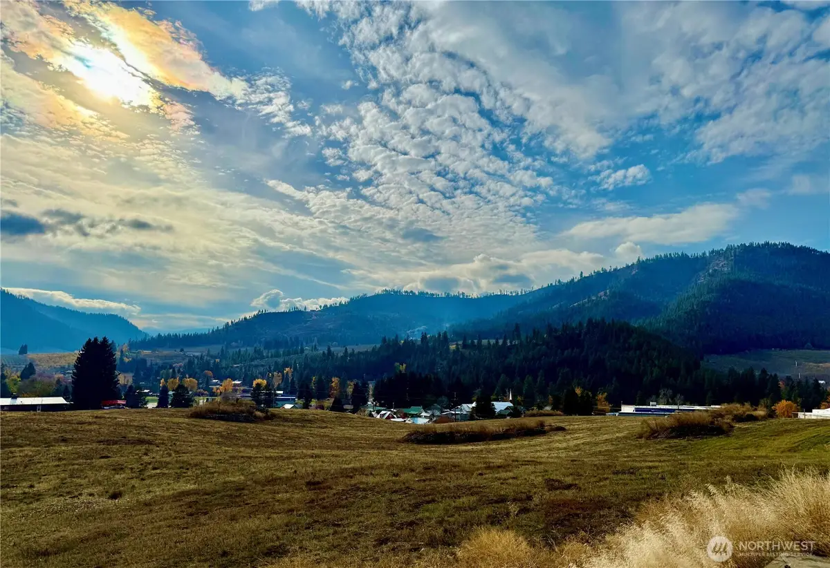 855 Larson Road #Lot 41, Peshastin, WA 98847 - Image #1