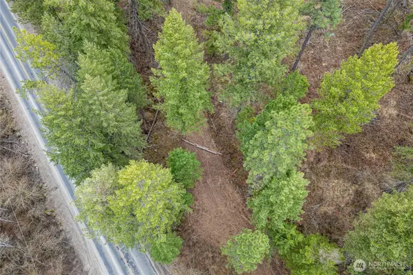 4700 E Deer Park Milan Road, Chattaroy, WA 99003