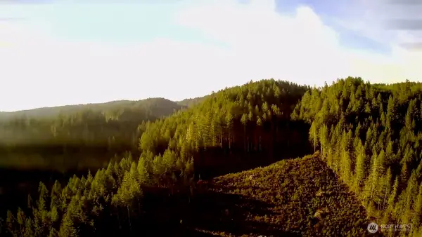 0 N Us Highway 101, Shelton, WA 98584