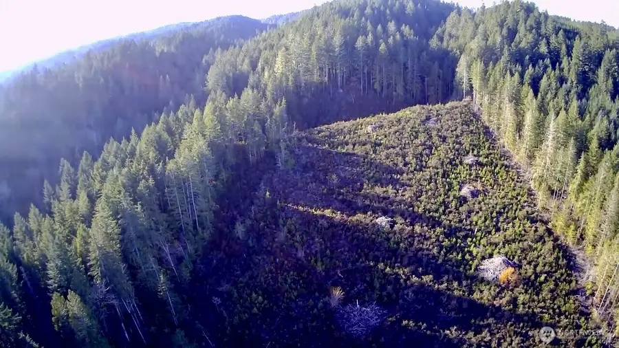 0 N Us Highway 101, Shelton, WA 98584 - Image #3