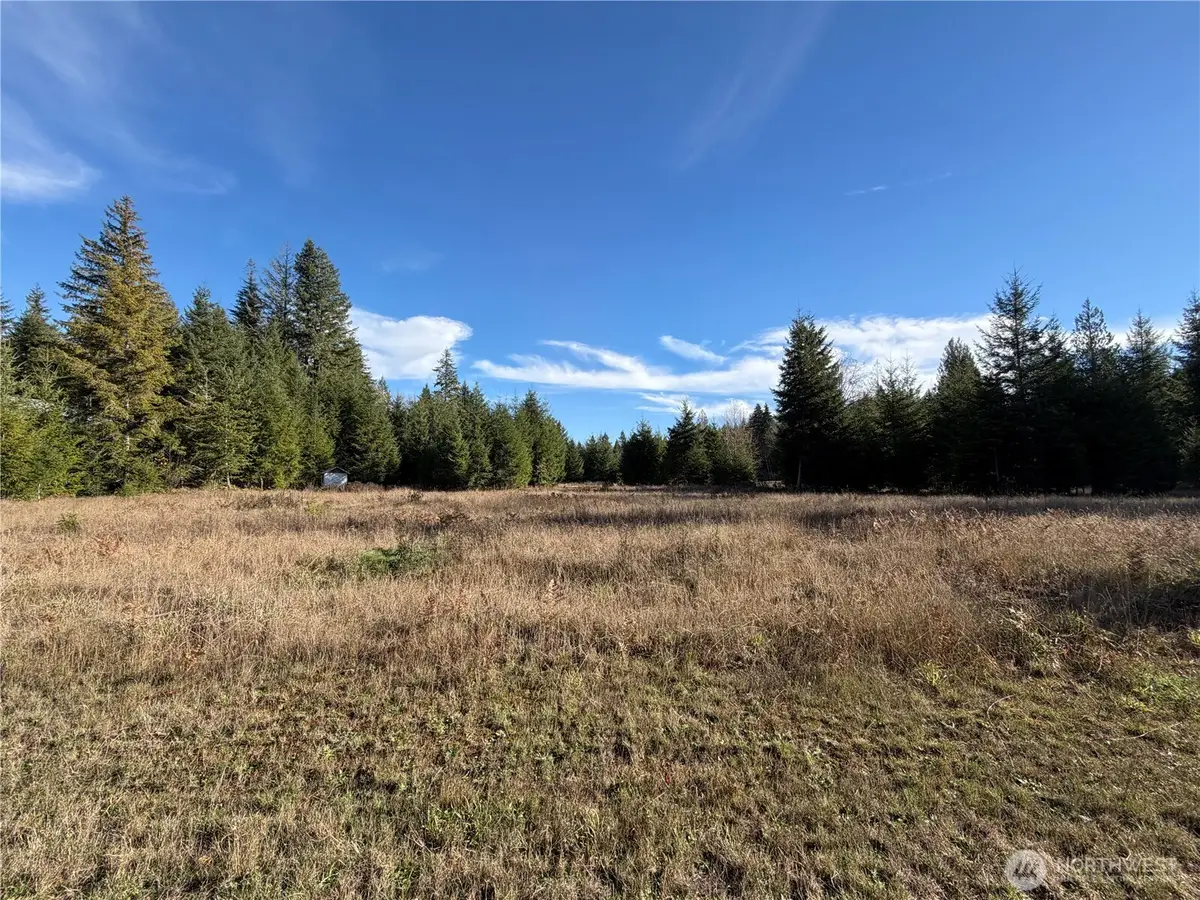 138 Shelton Road, Randle, WA 98377 - Image #1