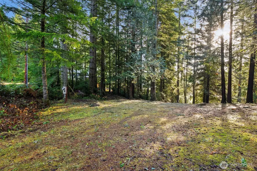 30 E Tahuya Drive, Shelton, WA 98584 - Image #2