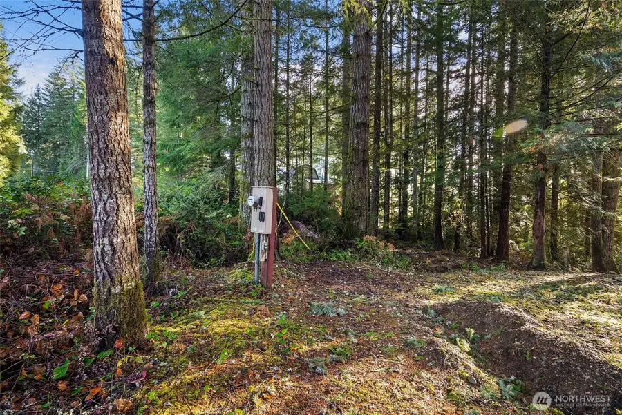 30 E Tahuya Drive, Shelton, WA 98584 - Image #3