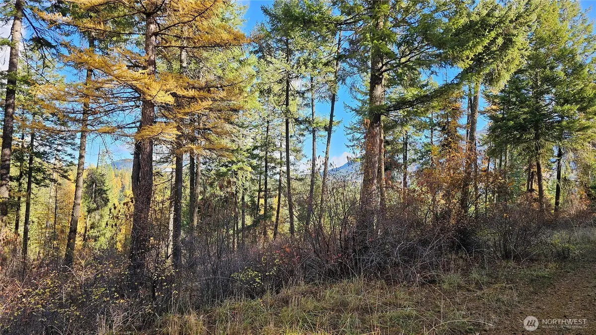 700 Dry Gulch Road, Colville, WA 99114 - #1