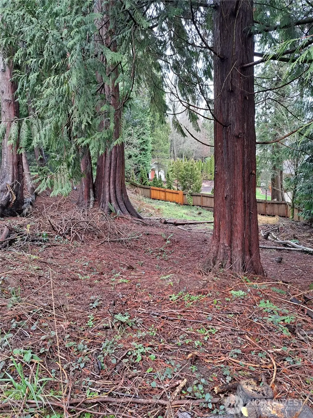 210 W Saint James Place, Longview, WA 98632 - Image #1