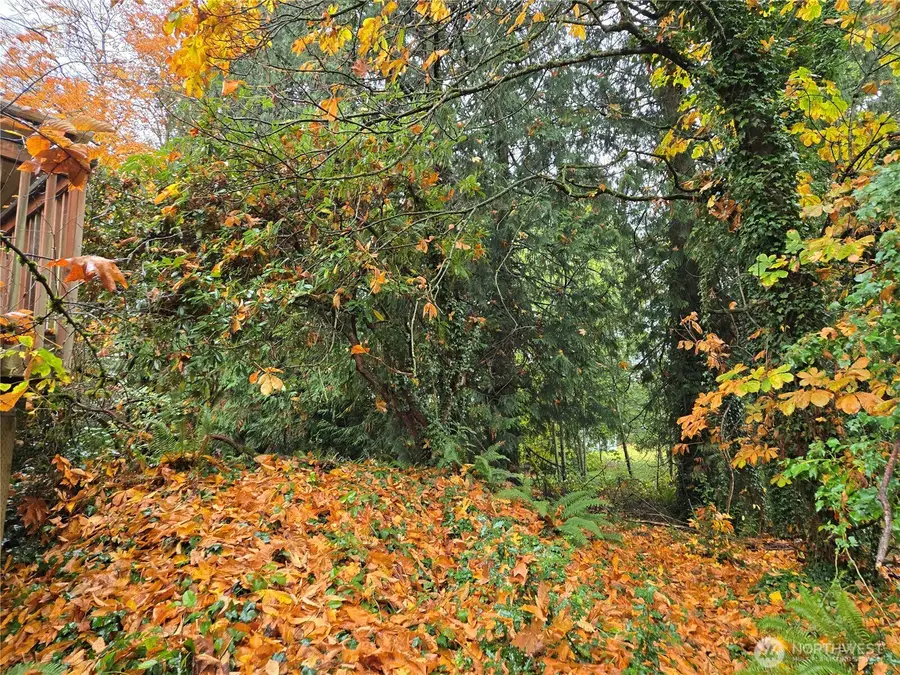 10415 Slater Avenue Ne, Kirkland, WA 98033 - Image #3