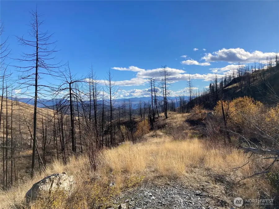 1111 Bottom Road, Tonasket, WA 98855 - Image #3