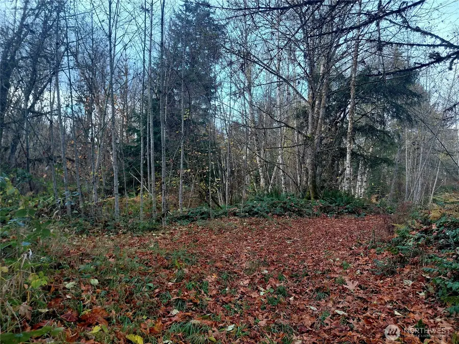 0 Old Barn Road #9, Randle, WA 98377 - Image #2