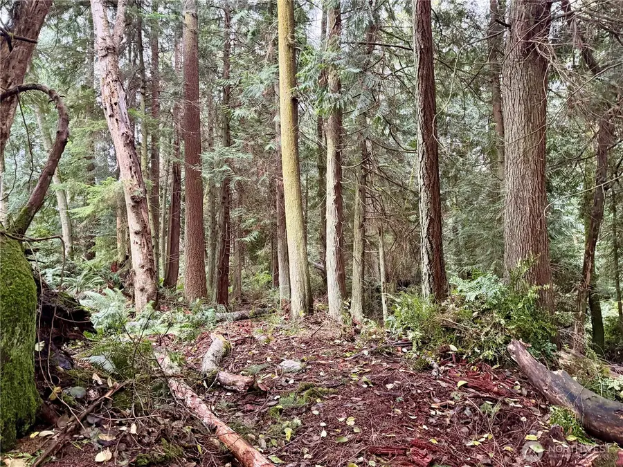 0 Sorrel Lane, Clinton, WA 98236 - Image #3