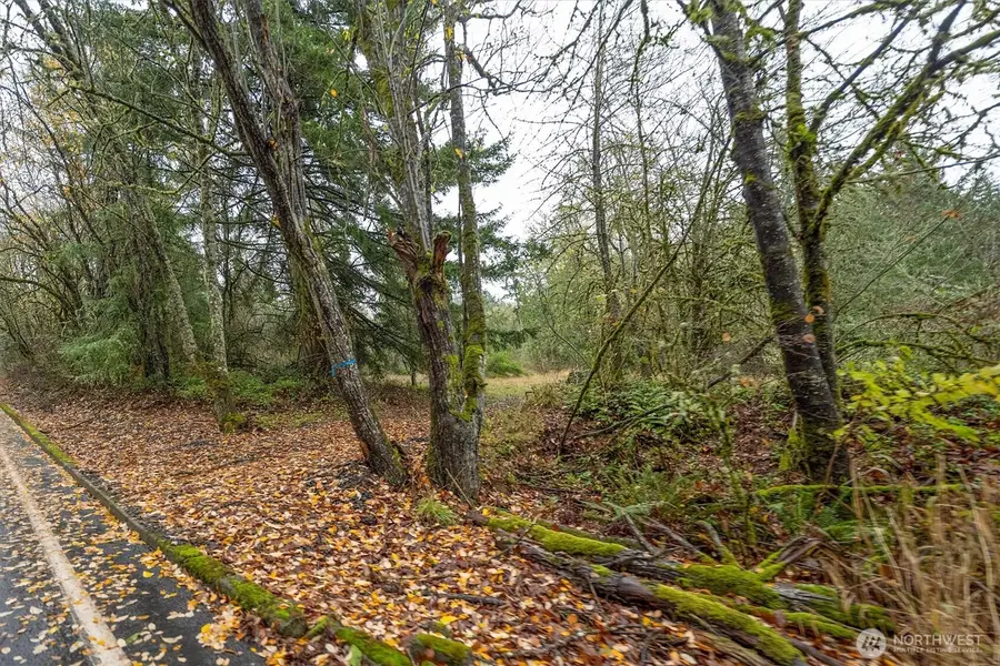 3 Grimm Road #3, Kelso, WA 98626 - Image #3