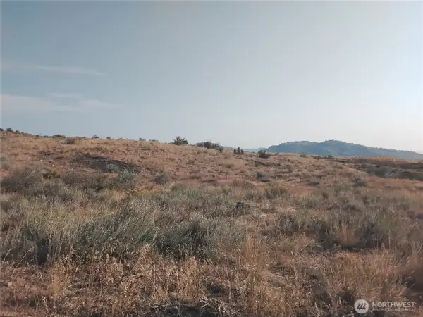 6 Painted Rock Road #6, Tonasket, WA 98855