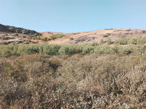 5 Painted Rock Road #5, Tonasket, WA 98855