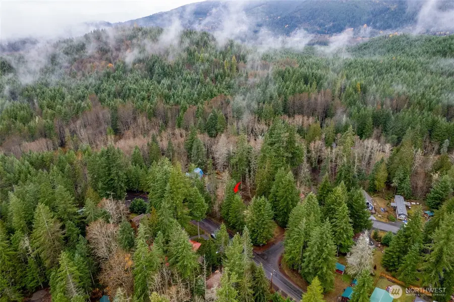 318 Paradise Drive, Ashford, WA 98328 - Image #2