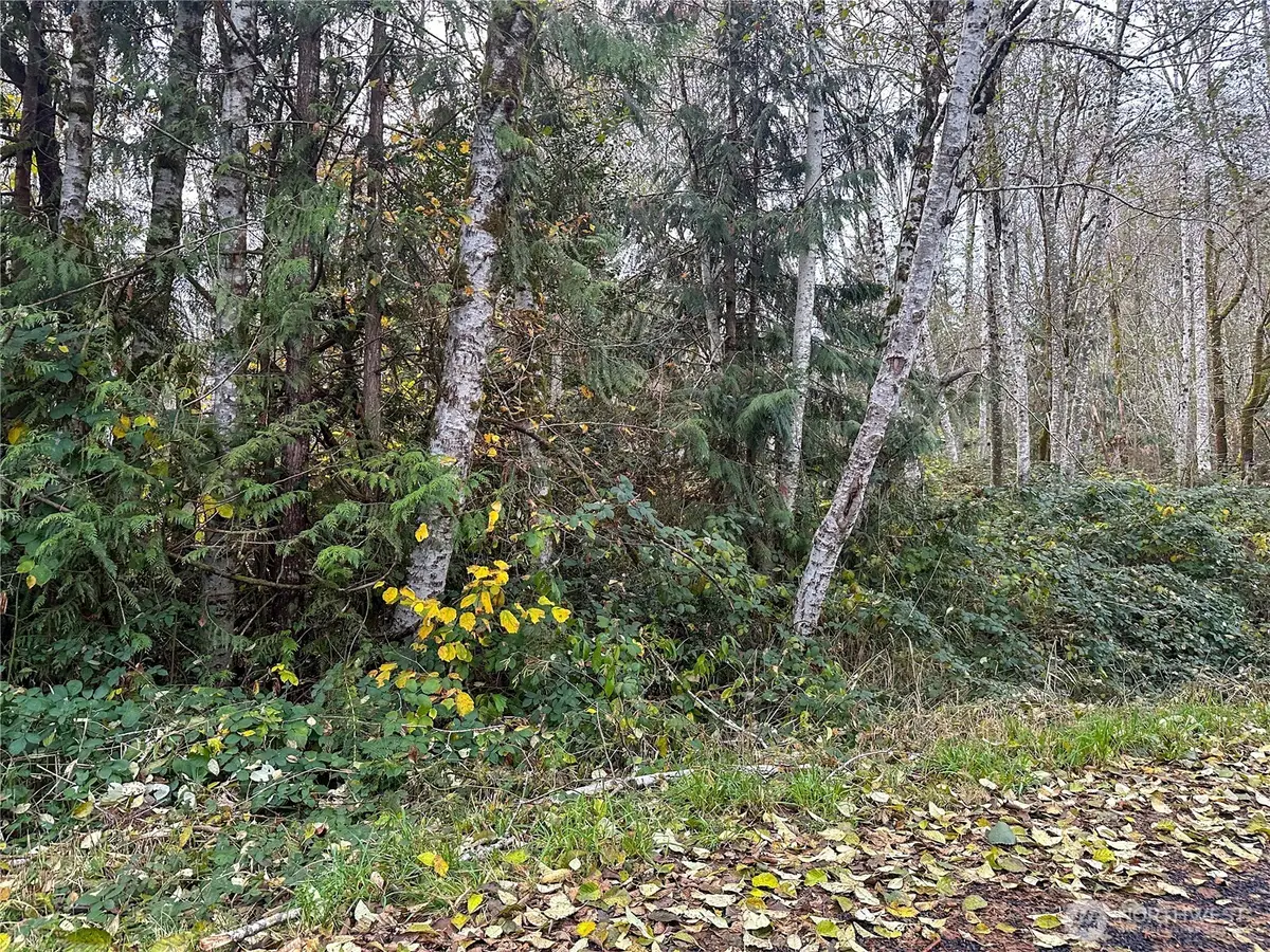 7605 Lakeside Street Sw #Lot 342, Olympia, WA 98512 - #1