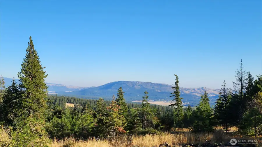 190 Skyline Ridge (lot 55) Drive, Cle Elum, WA 98922 - Image #2