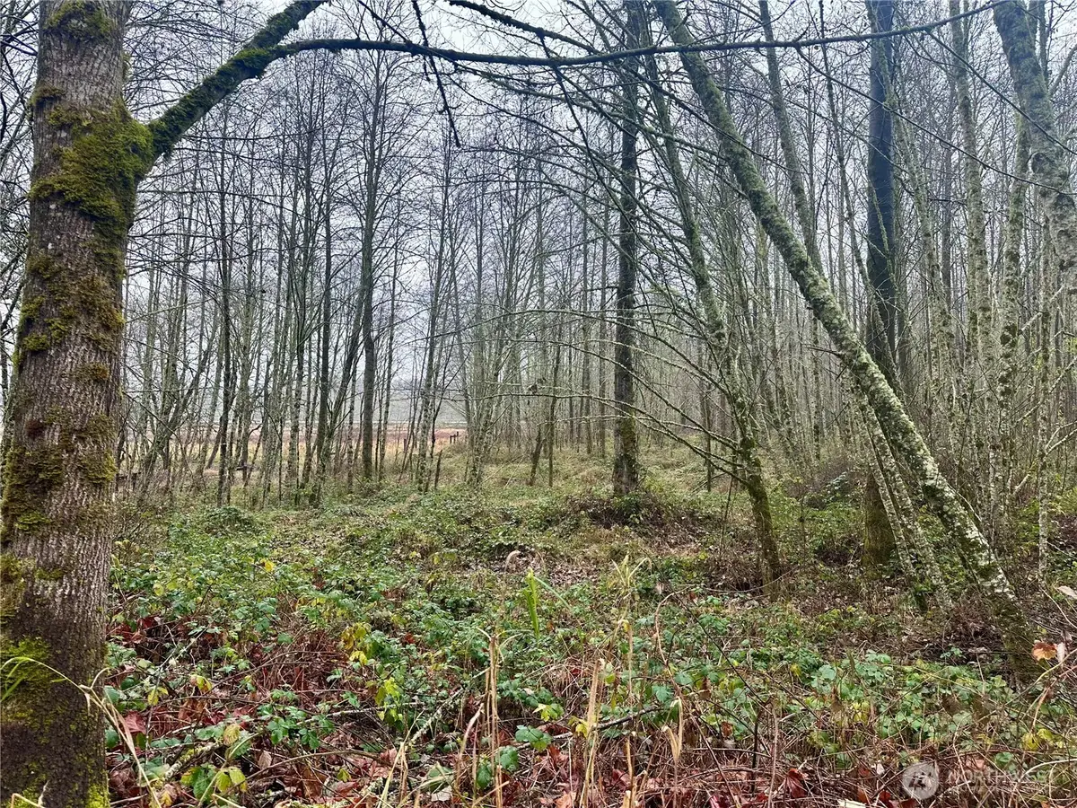 1230 Silverbrook Road, White Pass, WA 98937 - Image #1