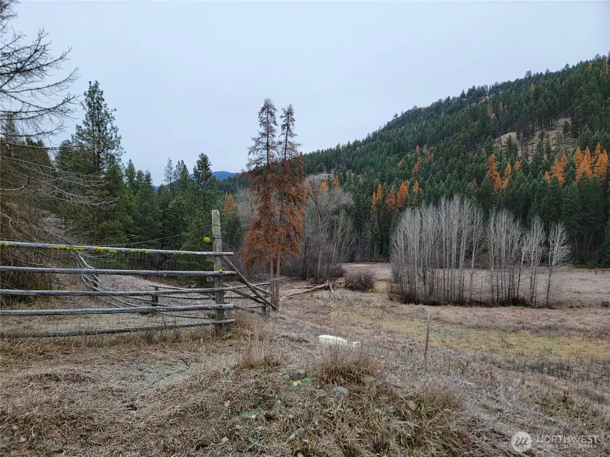 20 Haag Road, Wauconda, WA 98859 - Image #1