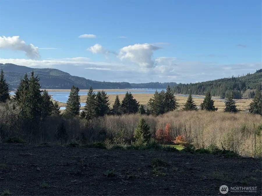 92 Dionne Lane, Naselle, WA 98638 - Image #3